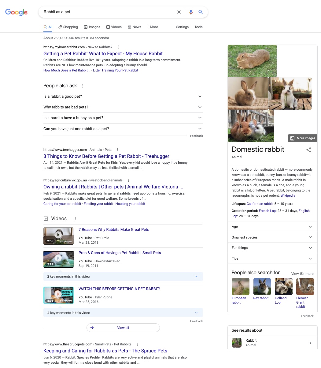 A Google search for the long-tail keyword "rabbits as pets", on the other hand, is more detailed. As a result, the results usually answer what you want to know.