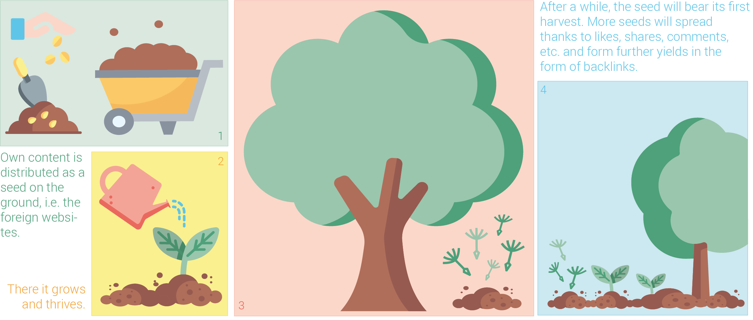 The seeding process: from sowing to harvesting
