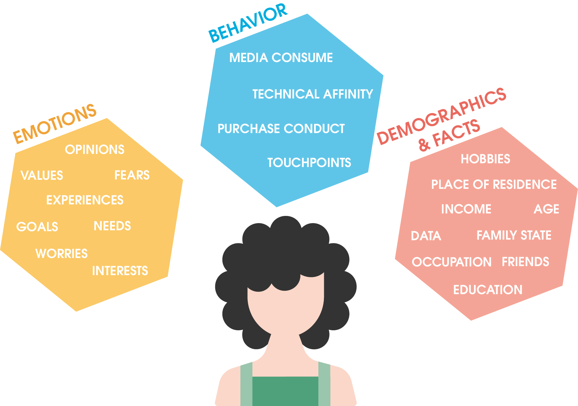 What influences a persona: emotions, behavior, demographics and facts