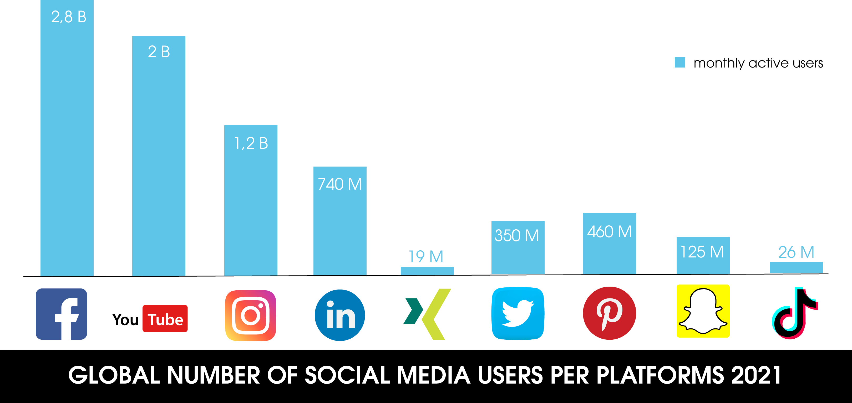 The chart shows the monthly active users of the most popular social media platforms in Germany in 2021, measured in millions.