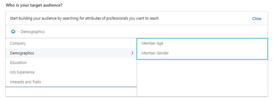 target group demographics