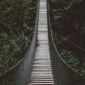 GA4 and Server Side Tagging – The way to a data-driven future