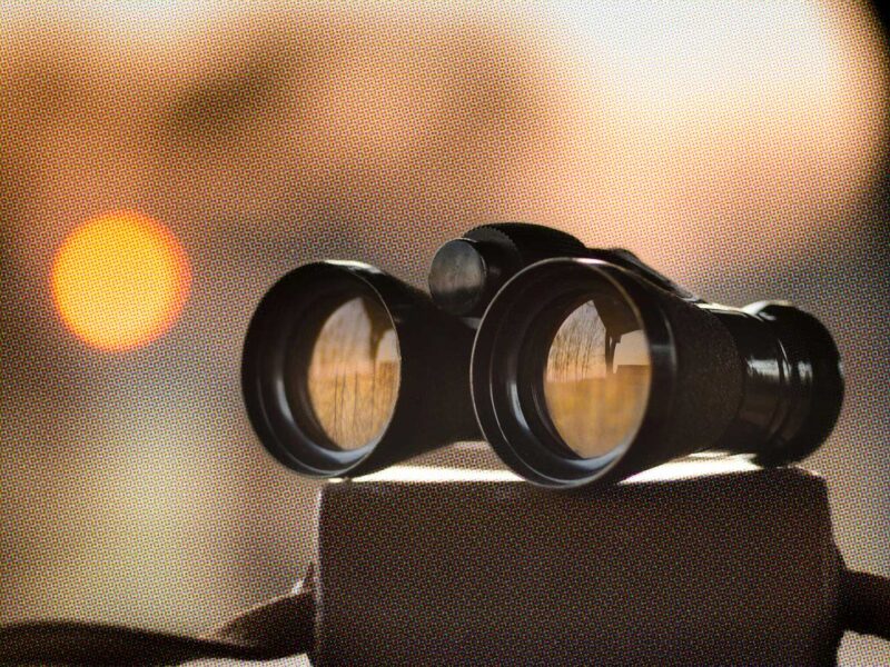 Quo Vadis Search? The evolution of search behaviour in the age of AI and zero-click searches Quo Vadis Search? The evolution of search behaviour in the age of AI and zero-click searches